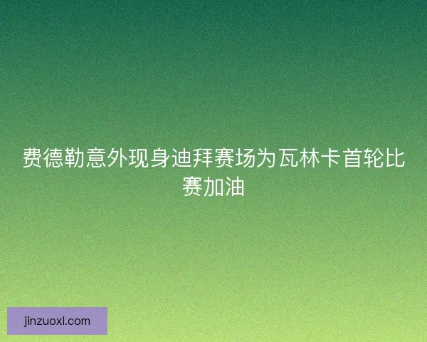 费德勒意外现身迪拜赛场为瓦林卡首轮比赛加油